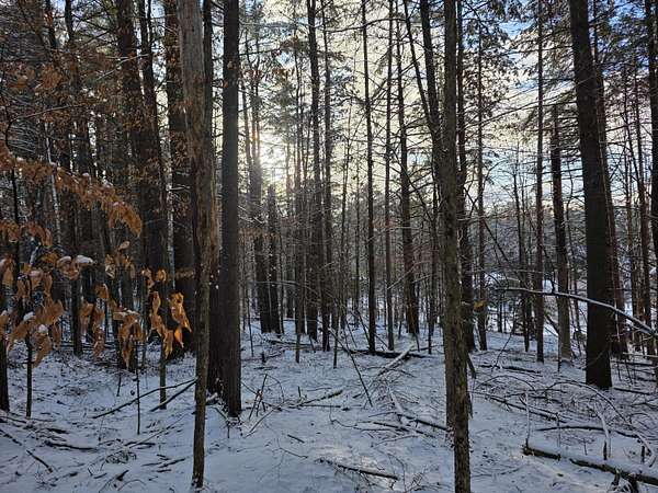 0.8 Acres of Residential Land for Sale in Jay, New York