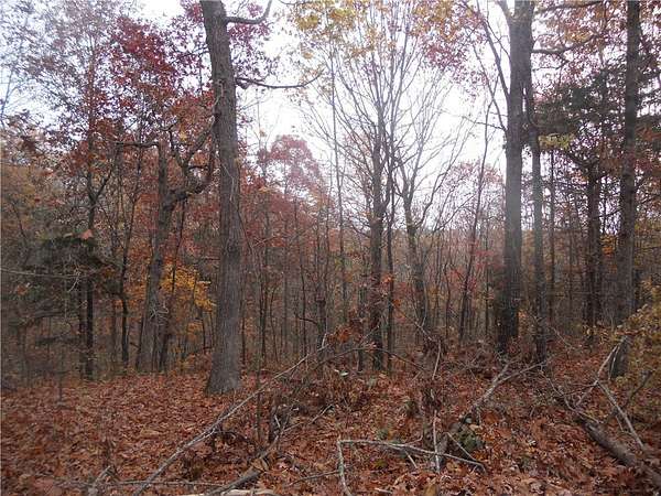 10 Acres of Land for Sale in Western Grove, Arkansas