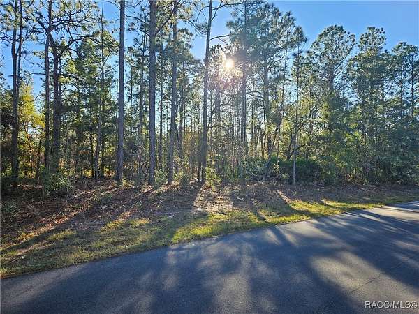 0.23 Acres of Residential Land for Sale in Citrus Springs, Florida