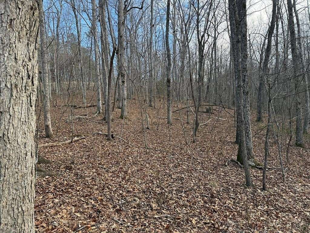 3.4 Acres of Land for Sale in Monterey, Tennessee