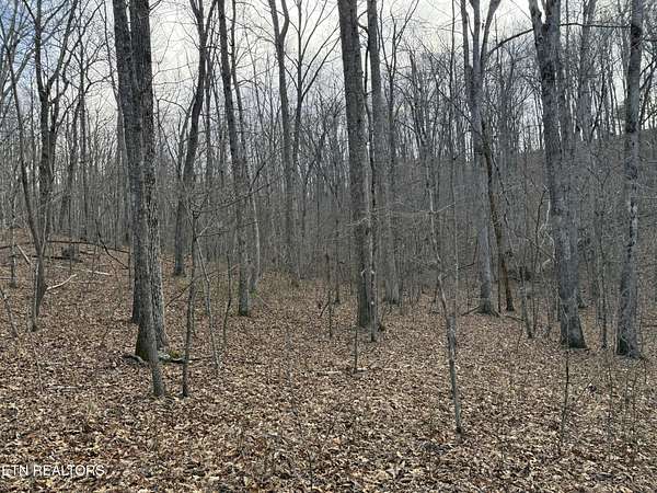 3.4 Acres of Residential Land for Sale in Monterey, Tennessee