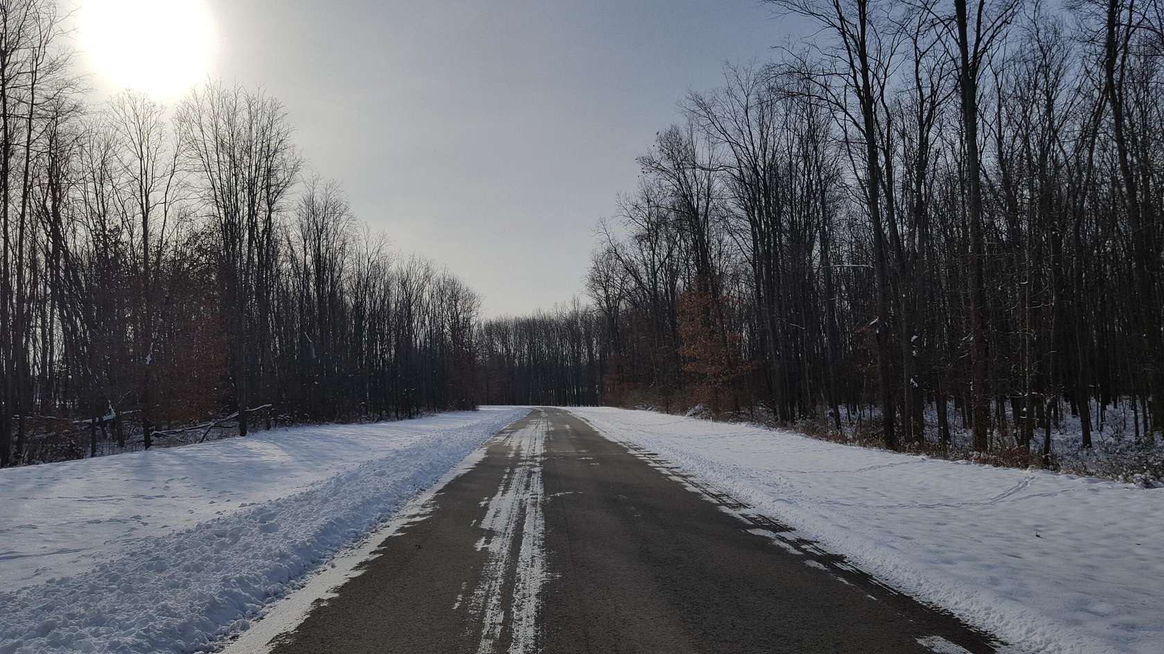 3 Acres of Residential Land for Sale in Chelsea, Michigan