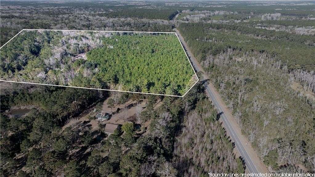 30.5 Acres of Agricultural Land for Sale in Townsend, Georgia