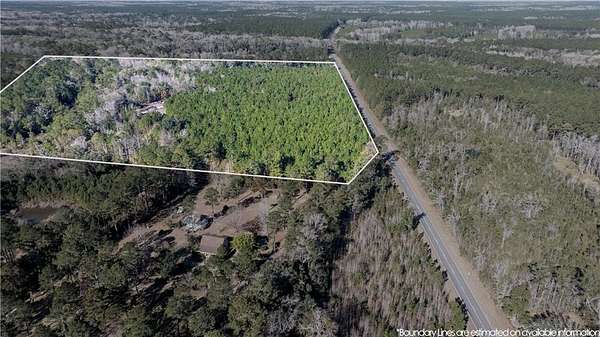 30.5 Acres of Agricultural Land for Sale in Townsend, Georgia