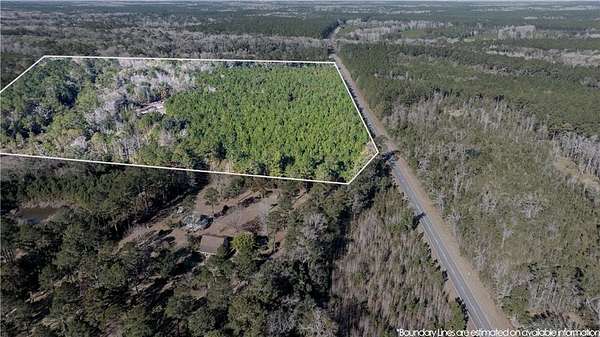 30.5 Acres of Agricultural Land for Sale in Townsend, Georgia