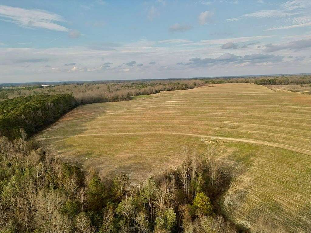 66.6 Acres of Land for Sale in Brundidge, Alabama