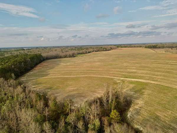 66.6 Acres of Agricultural Land for Sale in Brundidge, Alabama
