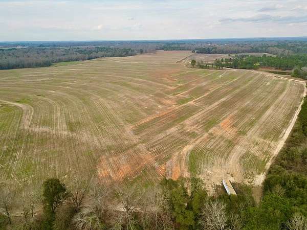 47.4 Acres of Agricultural Land for Sale in Brundidge, Alabama