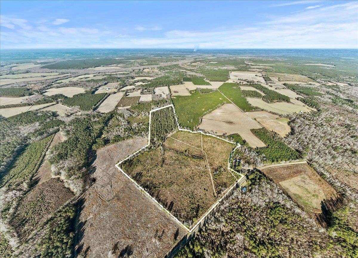 64 Acres of Recreational Land for Sale in Kingstree, South Carolina