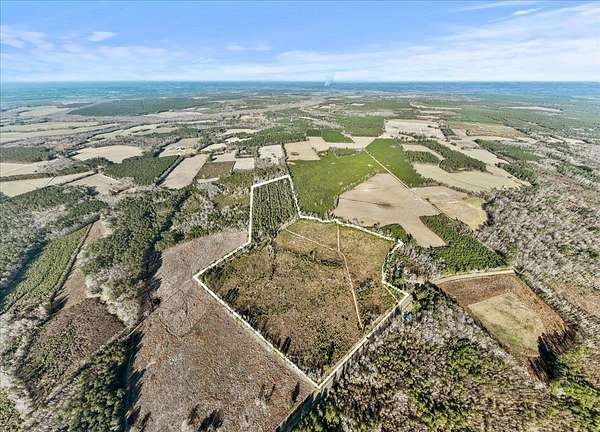 64 Acres of Recreational Land for Sale in Kingstree, South Carolina
