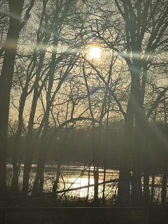 82.7 Acres of Recreational Land for Sale in Elkhart, Texas