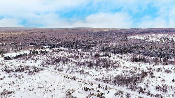33 Acres of Land for Sale in Cold Brook, New York