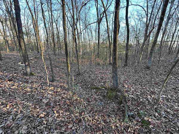 7.8 Acres of Residential Land for Sale in Mena, Arkansas