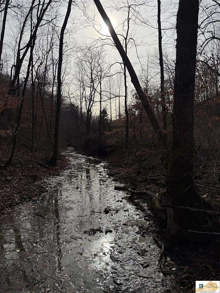 106 Acres of Recreational Land for Sale in Breeding, Kentucky