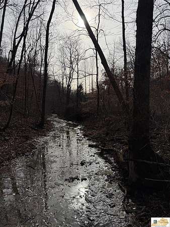 106 Acres of Recreational Land & Farm for Sale in Breeding, Kentucky