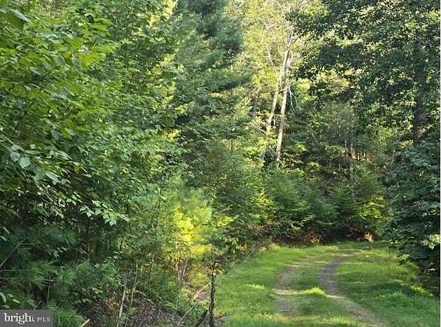 10 Acres of Land for Sale in Sugar Grove, West Virginia