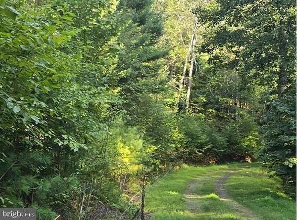 10 Acres of Land for Sale in Sugar Grove, West Virginia