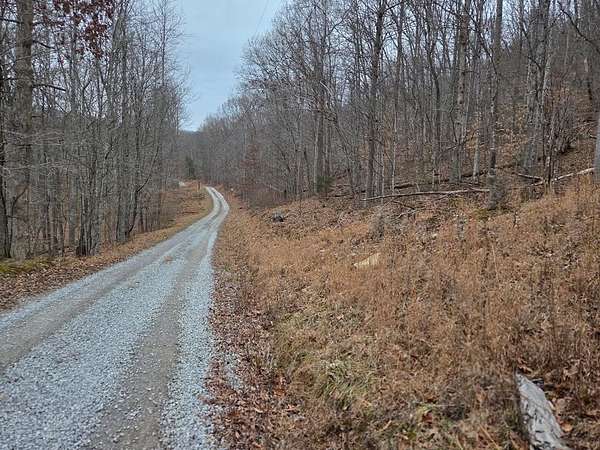 5 Acres of Residential Land for Sale in Hillsboro, Kentucky