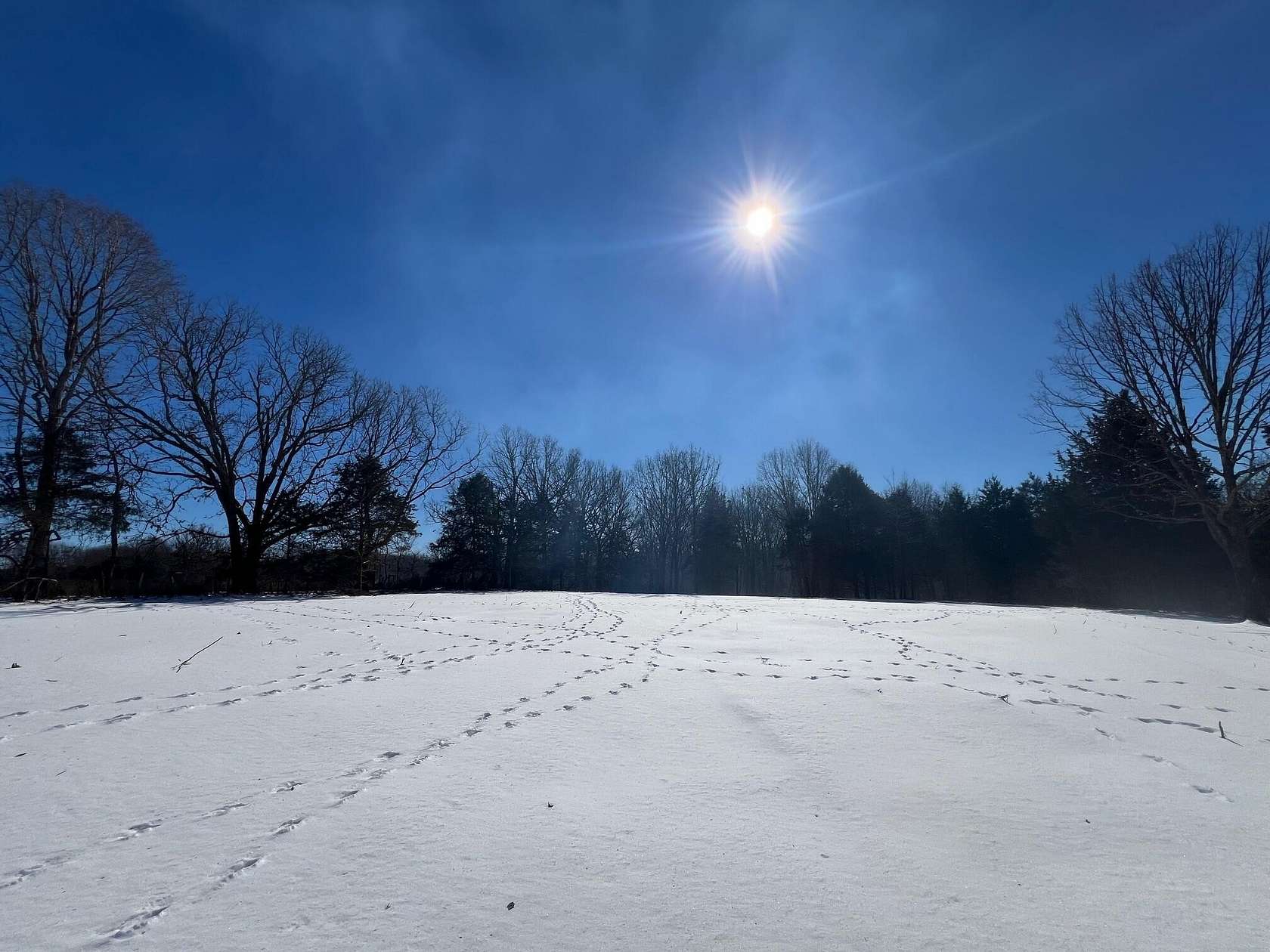 12.6 Acres of Land for Sale in Fordland, Missouri