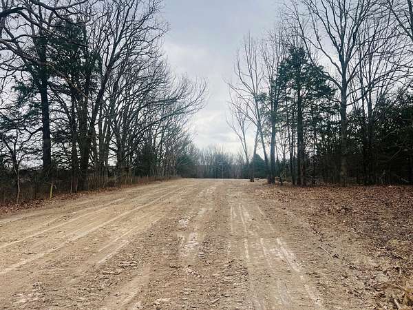 12.5 Acres of Land for Sale in Fordland, Missouri
