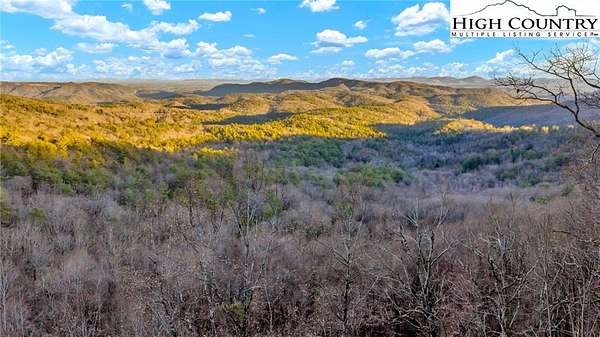 101 Acres of Recreational & Residential Land for Sale in Purlear, North Carolina