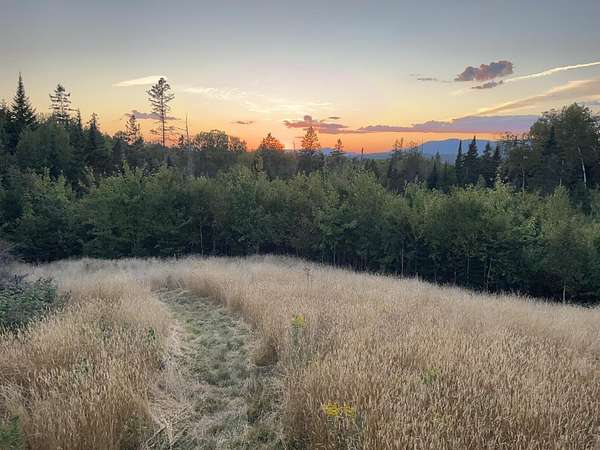 50 Acres of Recreational Land for Sale in Dallas Plantation, Maine