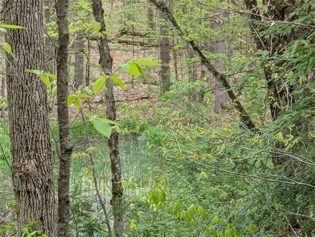 24 Acres of Recreational Land for Sale in Candor, New York