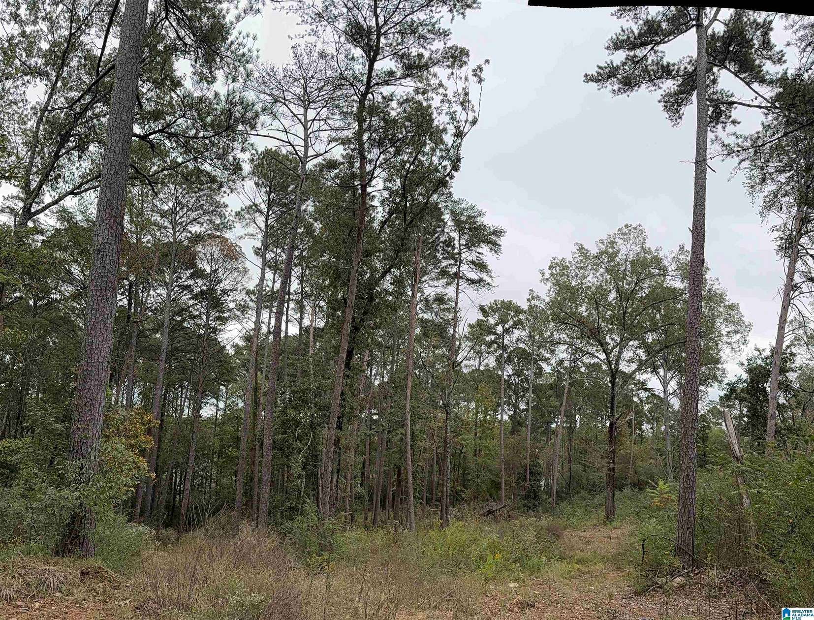 0.55 Acres of Land for Sale in Fultondale, Alabama