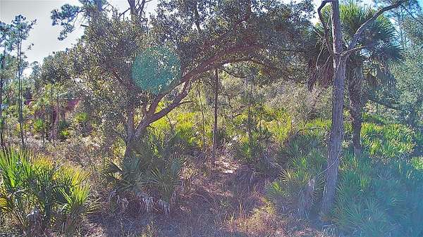 0.23 Acres of Residential Land for Sale in Port Charlotte, Florida