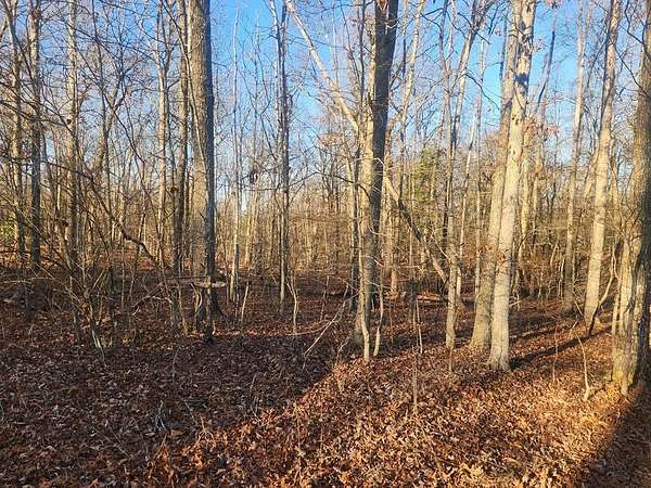 0.26 Acres of Residential Land for Sale in Crossville, Tennessee