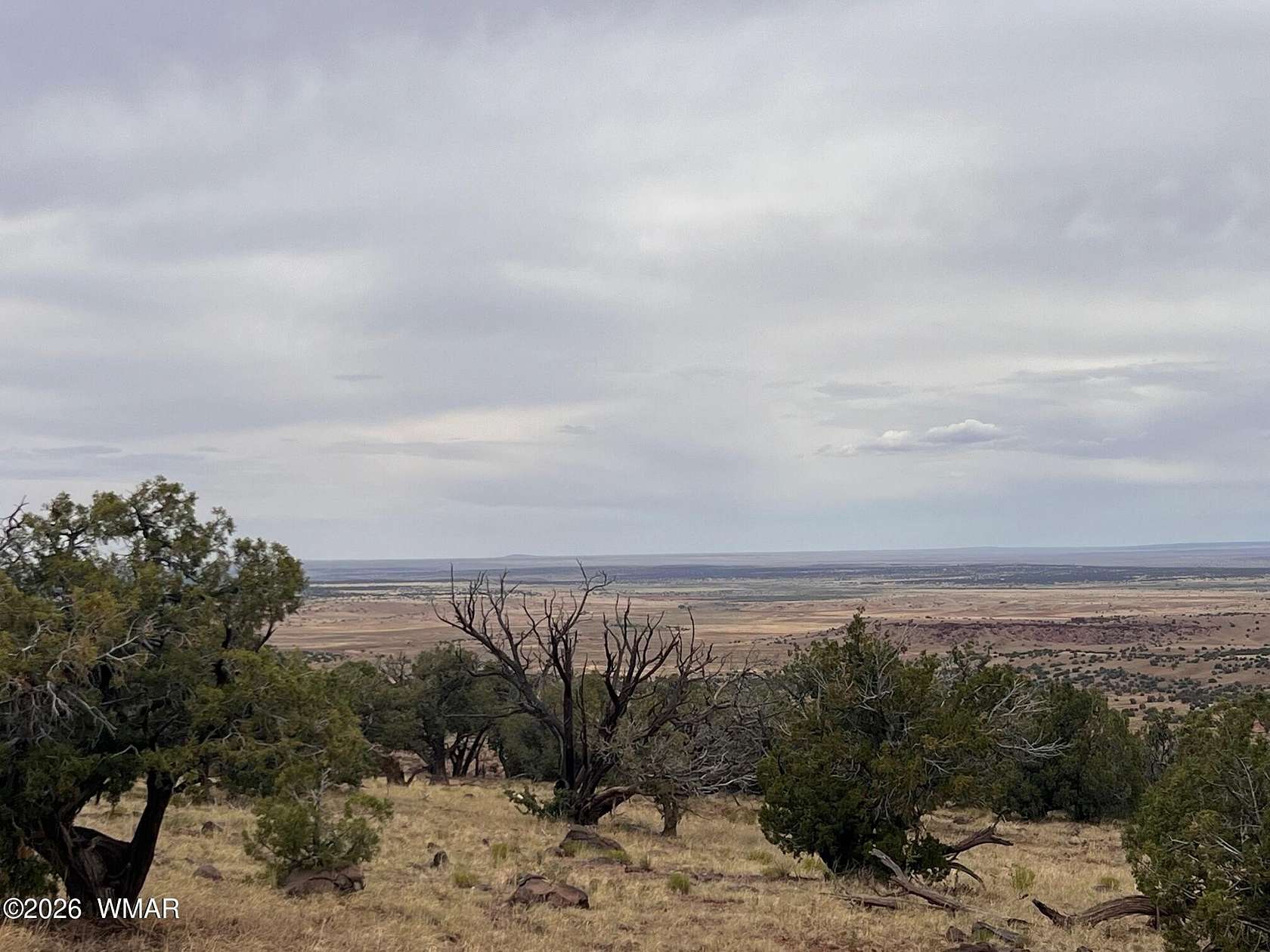 37.5 Acres of Recreational Land for Sale in Concho, Arizona