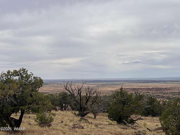 37.5 Acres of Recreational Land for Sale in Concho, Arizona