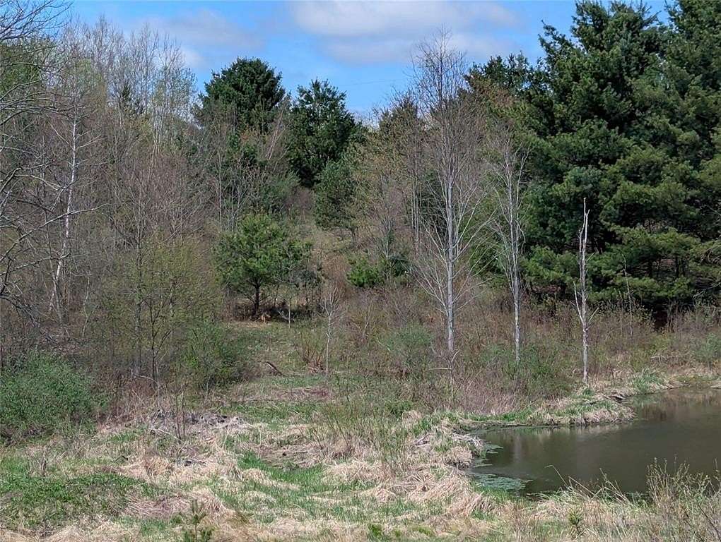 27.8 Acres of Recreational & Residential Land for Sale in Johnson City, New York