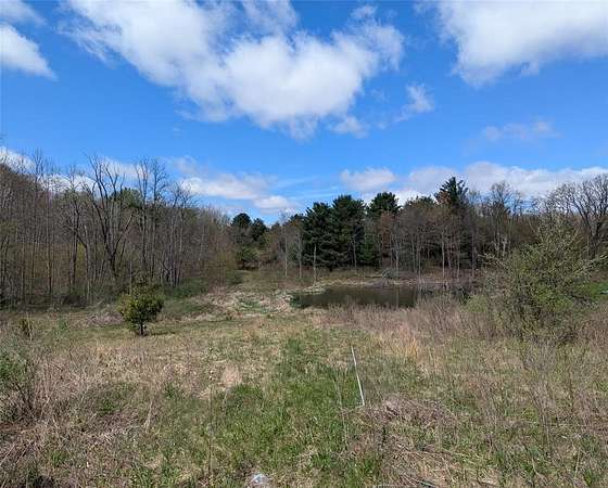 27.8 Acres of Recreational Land for Sale in Johnson City, New York