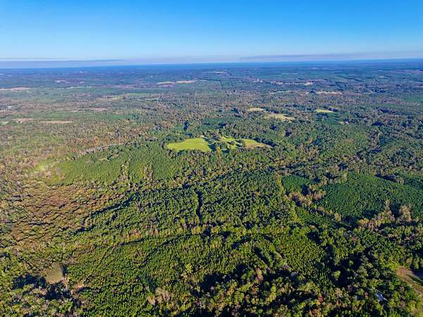 463 Acres of Recreational Land & Farm for Sale in Jackson, Alabama