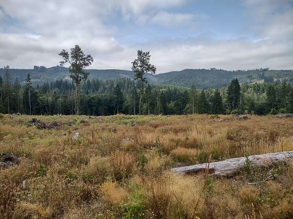 19.7 Acres of Recreational Land for Sale in Schneiders Prairie, Washington