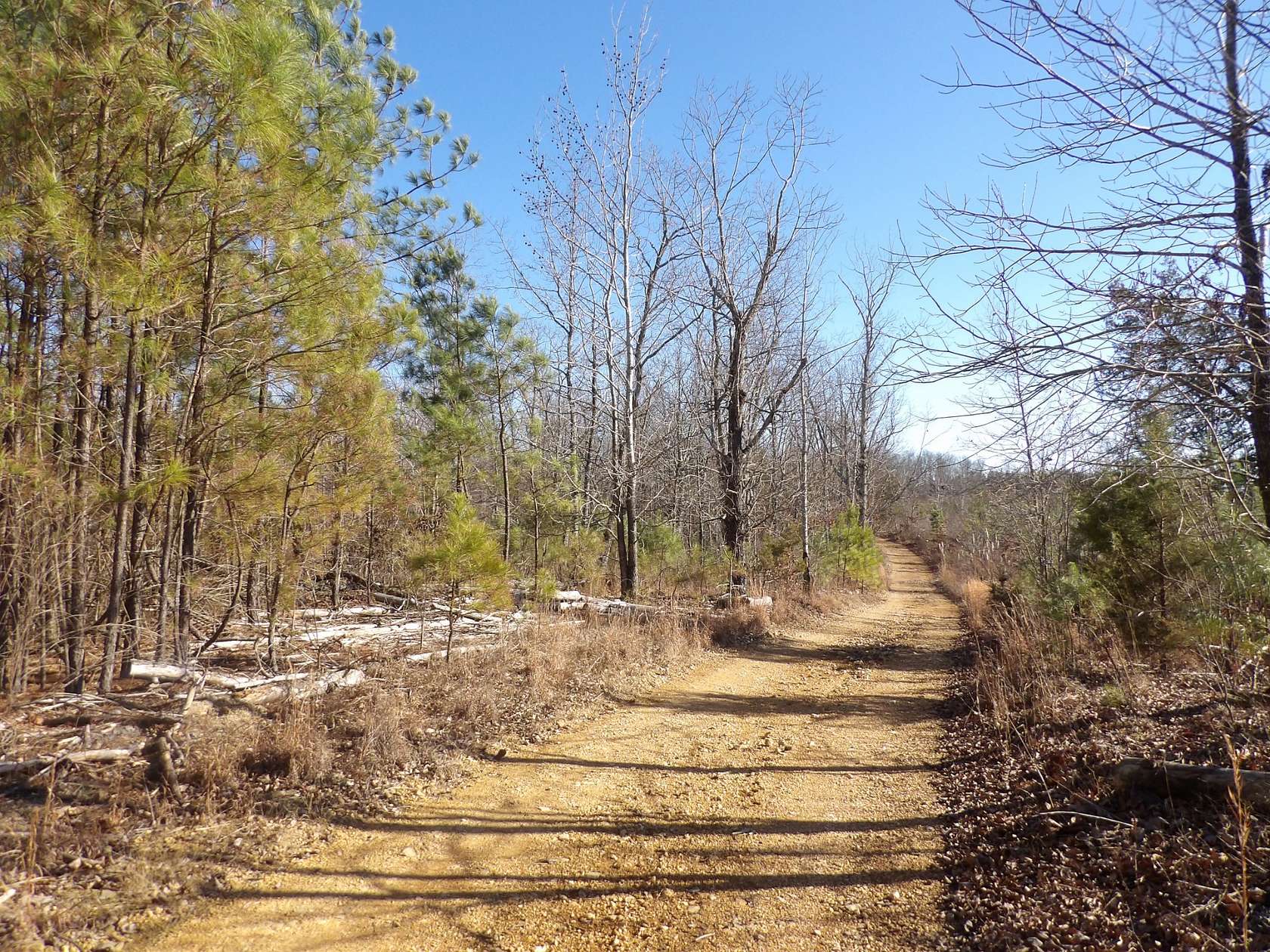 95.2 Acres of Recreational Land for Sale in Waverly, Tennessee