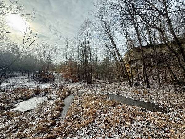 29.8 Acres of Recreational & Residential Land for Sale in Middleport, Ohio