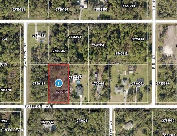 1 Acre of Residential Land for Sale in Eustis, Florida