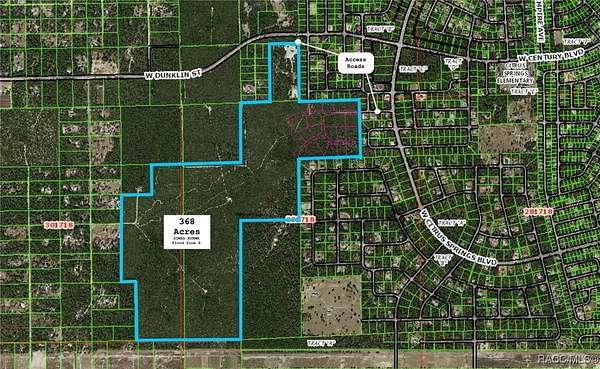 368 Acres of Recreational Land for Sale in Dunnellon, Florida
