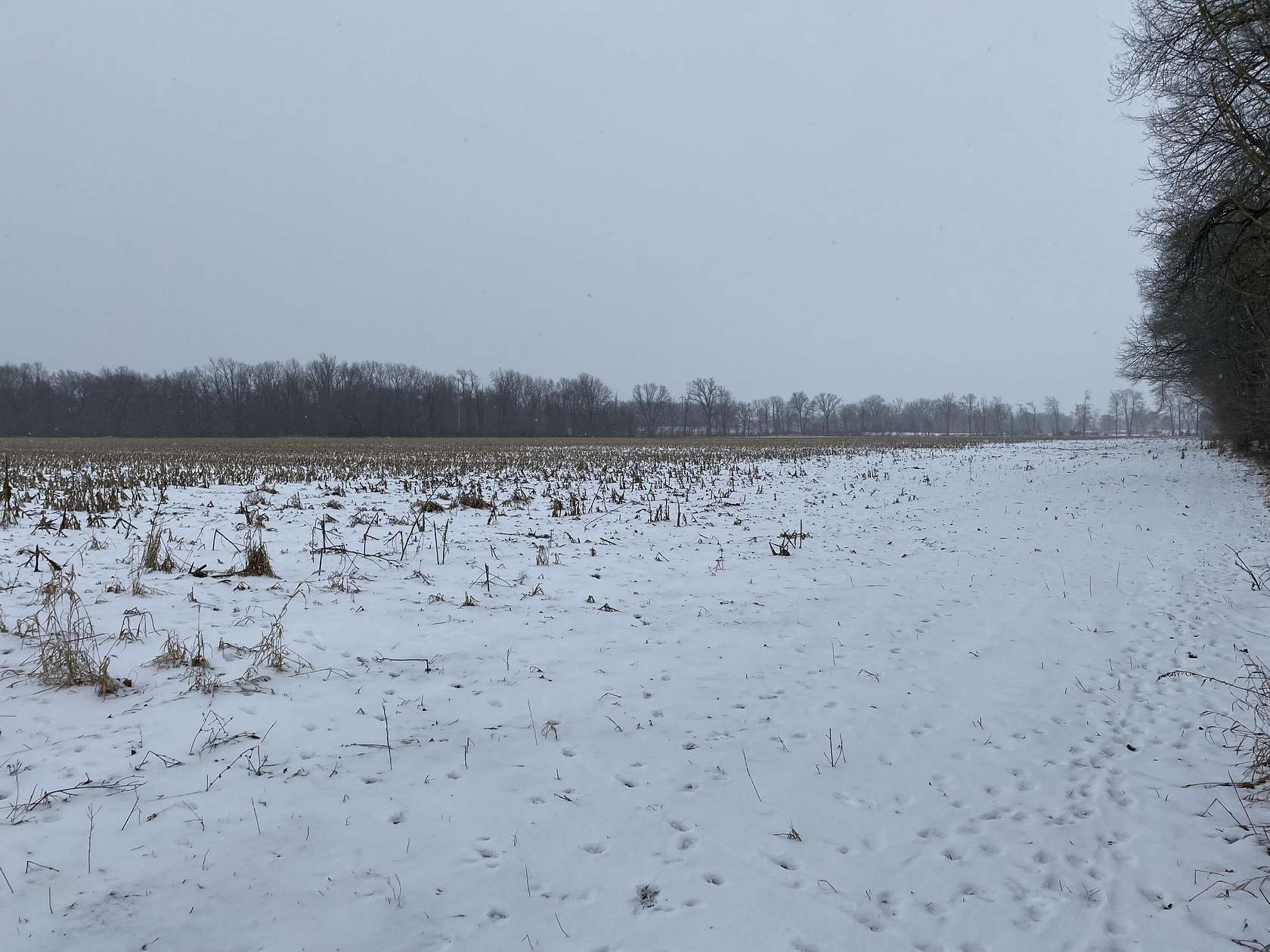 80 Acres of Recreational Land & Farm for Sale in Bronson, Michigan