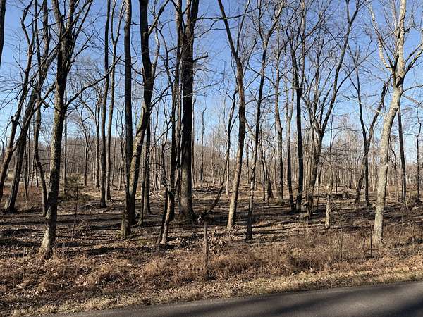 11.6 Acres of Land for Sale in Springfield, Tennessee