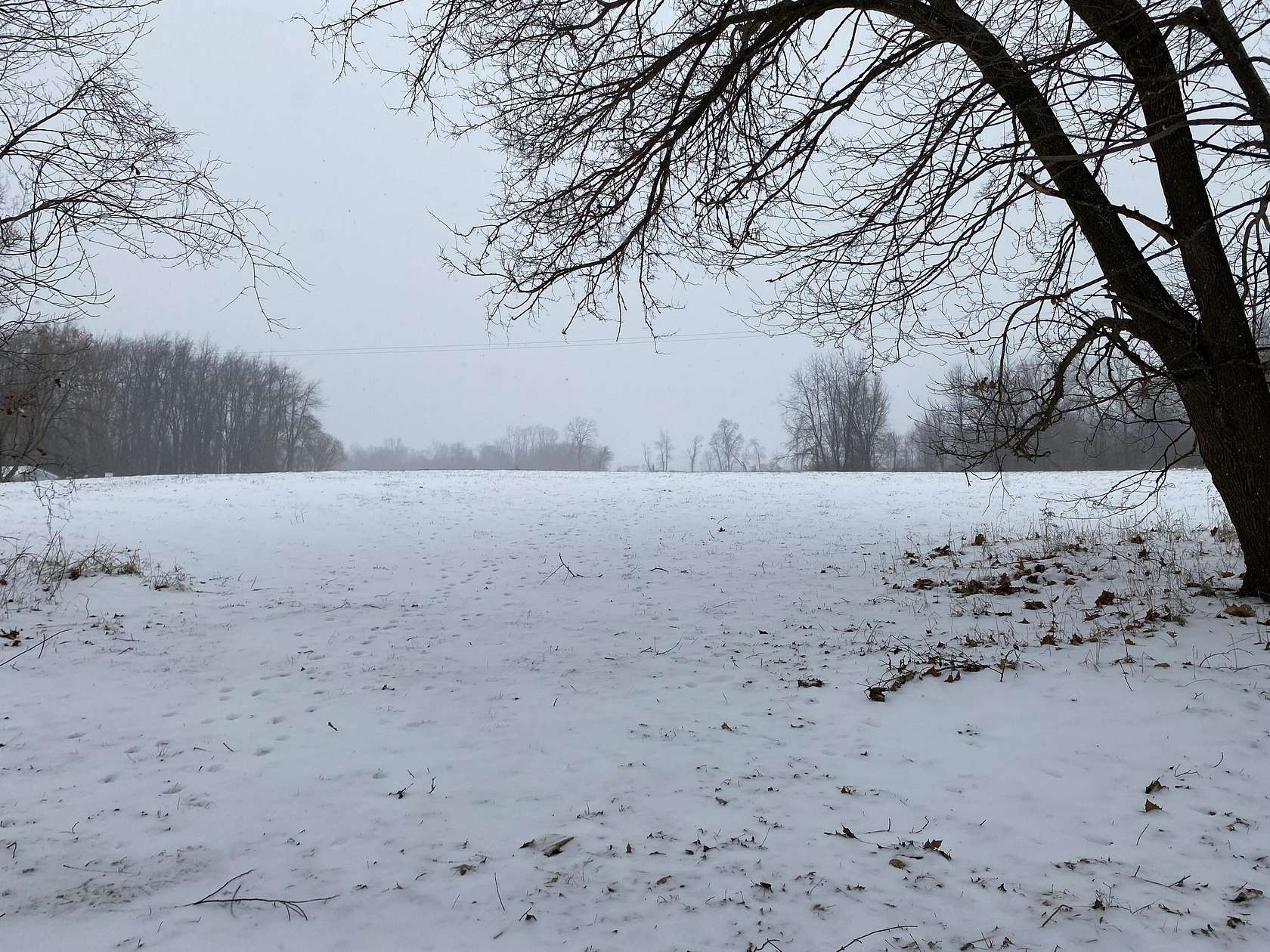 53 Acres of Recreational Land & Farm for Sale in Bronson, Michigan