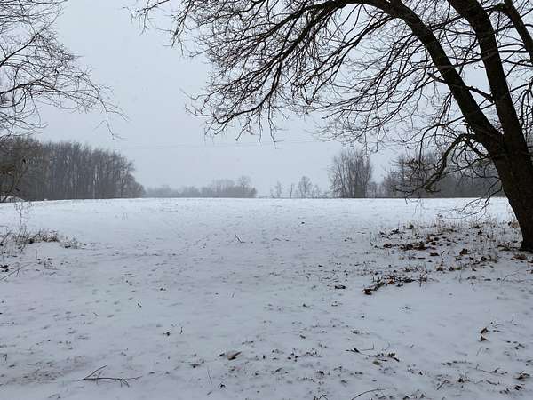53 Acres of Recreational Land & Farm for Sale in Bronson, Michigan