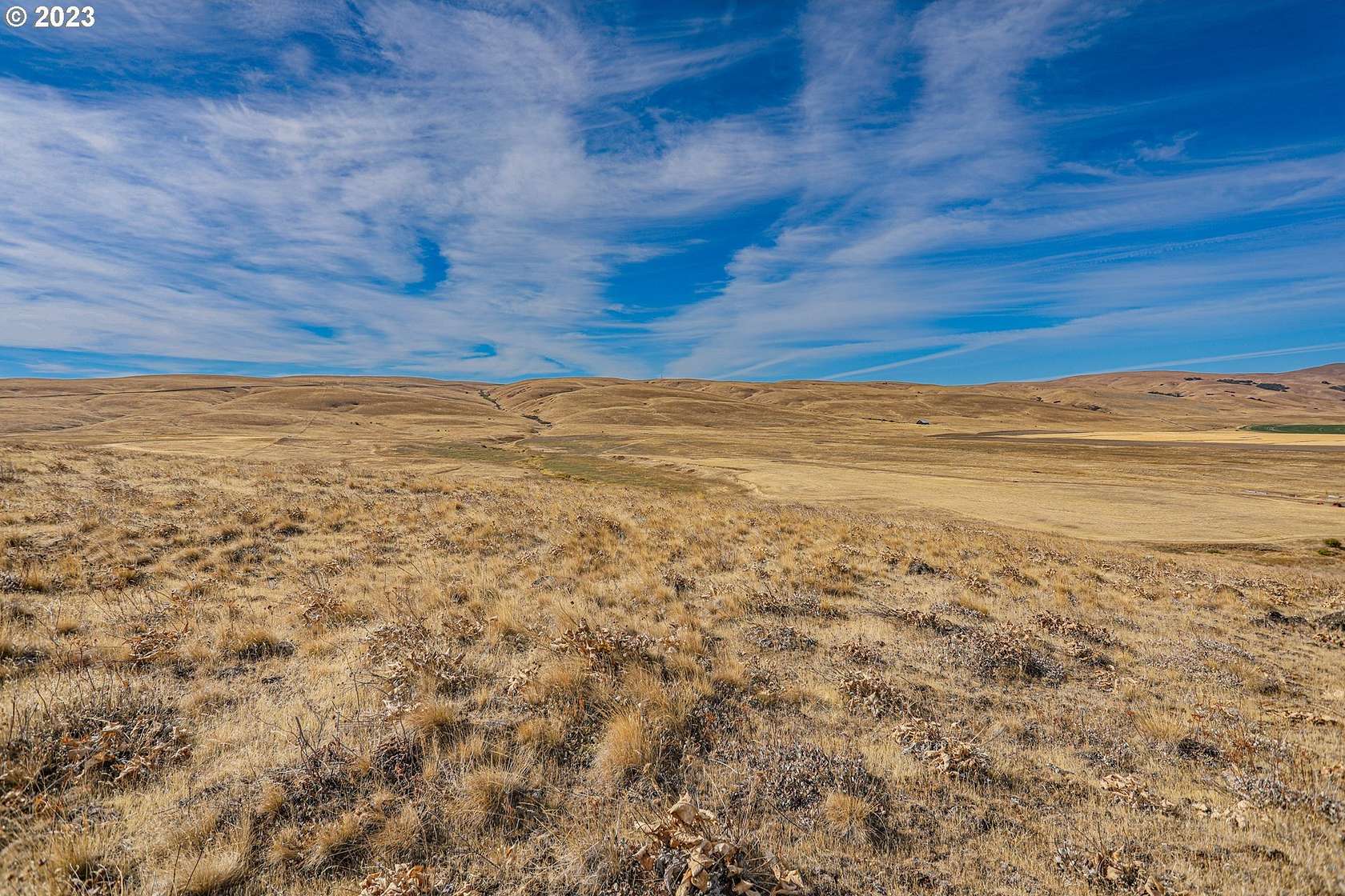 81 Acres of Land for Sale in Centerville, Washington