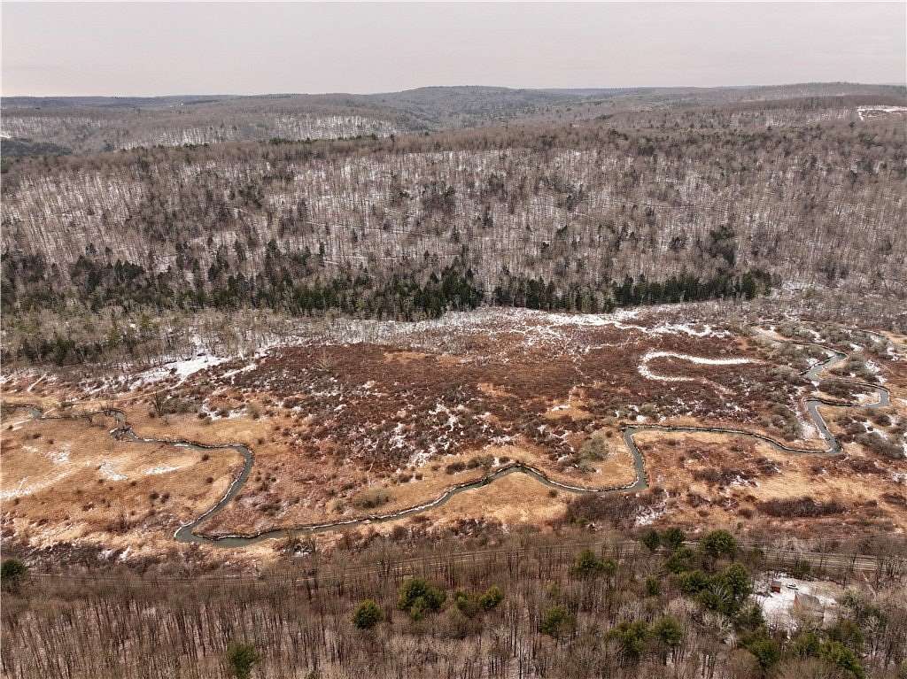 40.4 Acres of Recreational Land for Sale in Spencer, New York