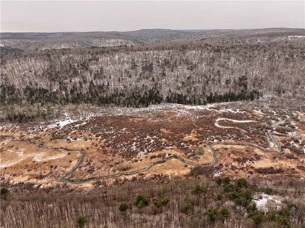 40.4 Acres of Recreational Land for Sale in Spencer, New York