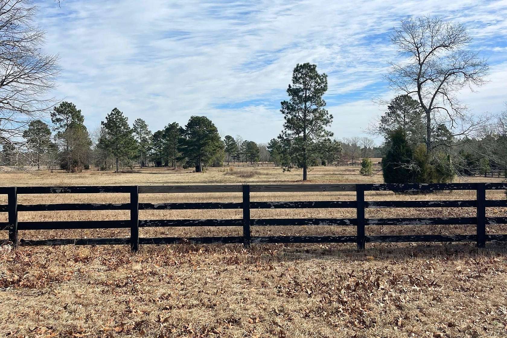 17 Acres of Land for Sale in Wagener, South Carolina