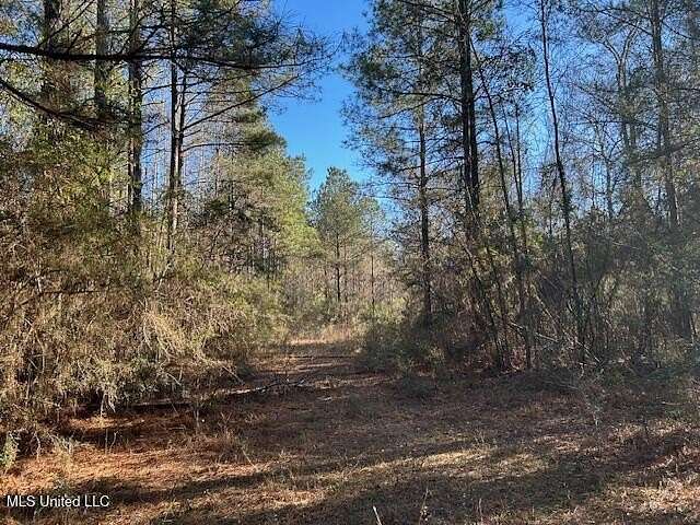 79.2 Acres of Recreational Land for Sale in McComb, Mississippi