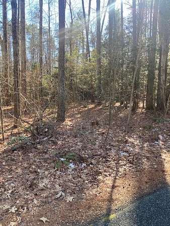 2.85 Acres of Residential Land for Sale in Heathsville, Virginia